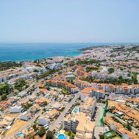 Sunflower By Ocvillas